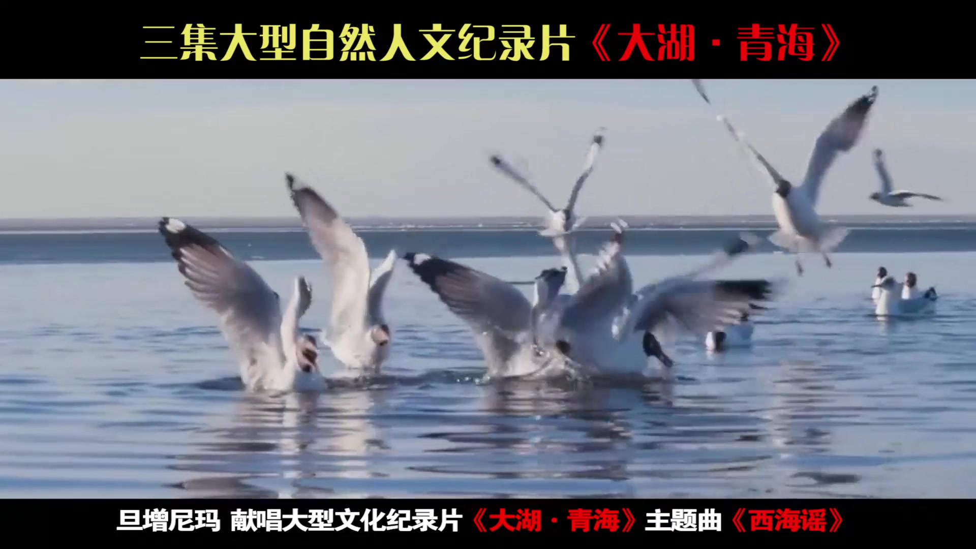 [图]旦增尼玛献唱央视纪录片《大湖·青海》主题曲《西海谣》