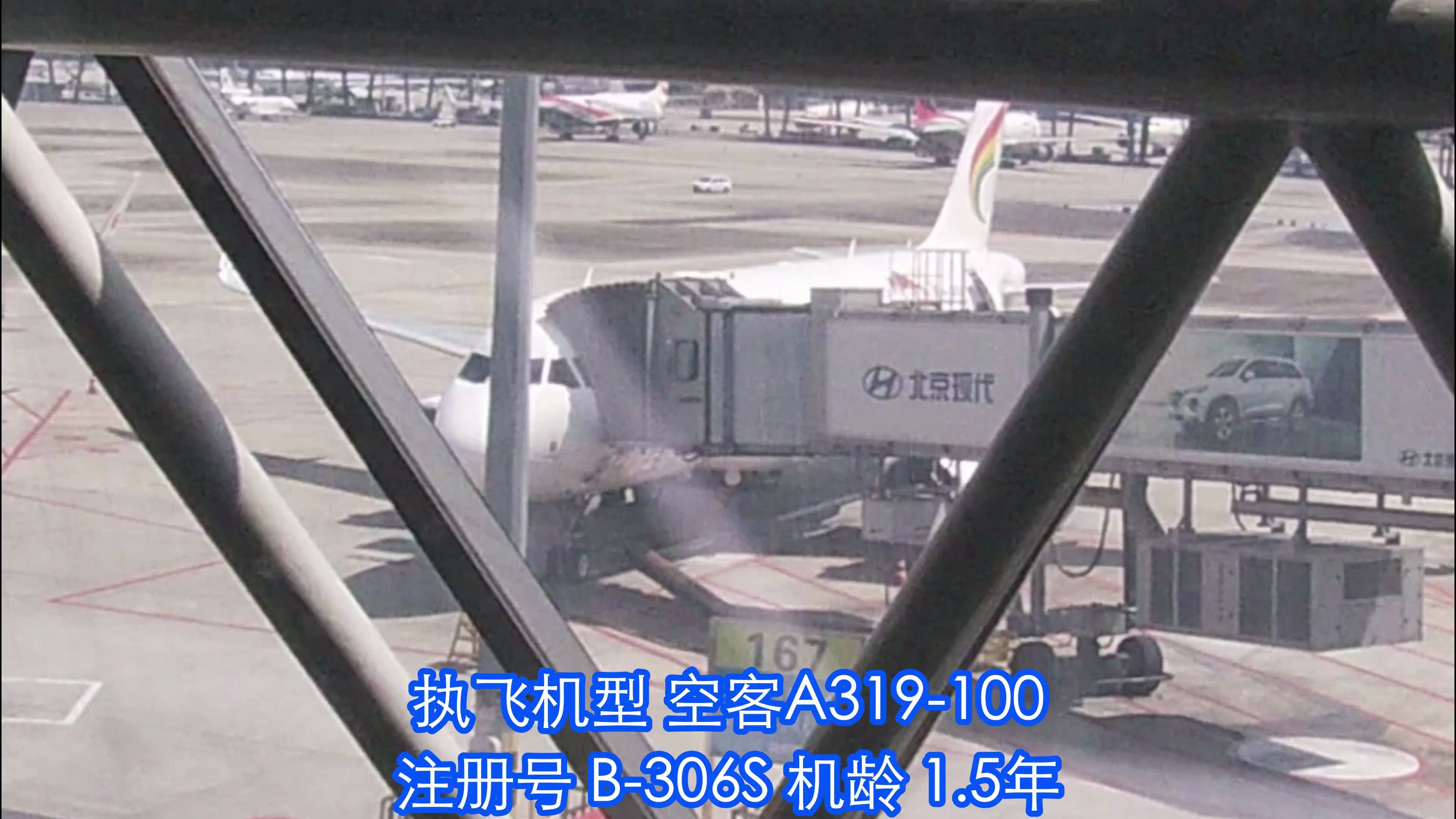 【A319飞行记录】西藏航空 TV9915航班 成都双流大理荒草坝 飞行记录哔哩哔哩bilibili