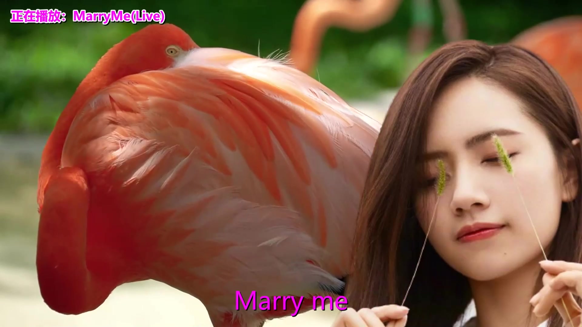 经典音乐,一首《marryme(live)》经典老歌,瞬间打