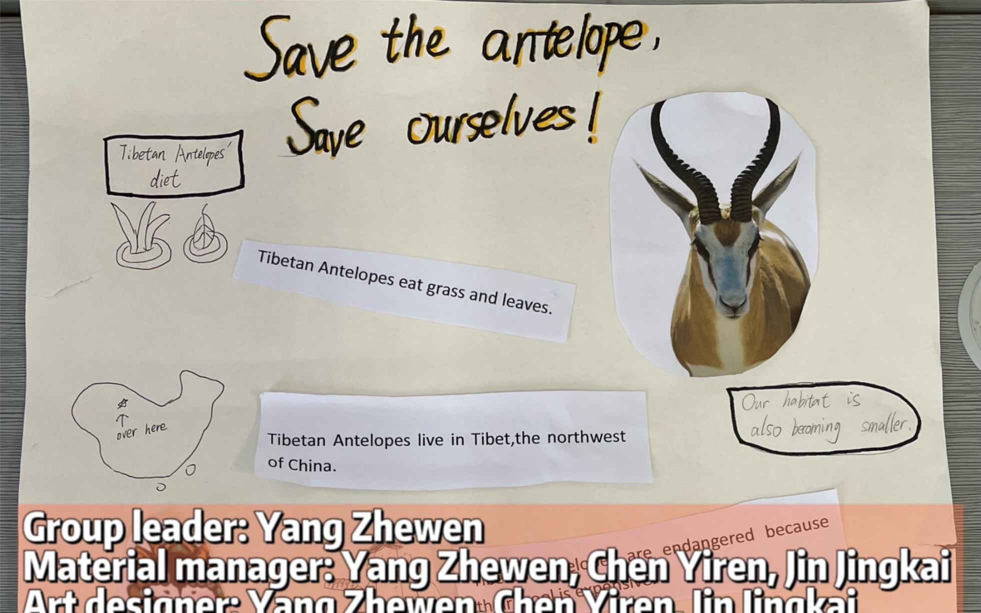 [图]Save the antelope, Save ourselves!