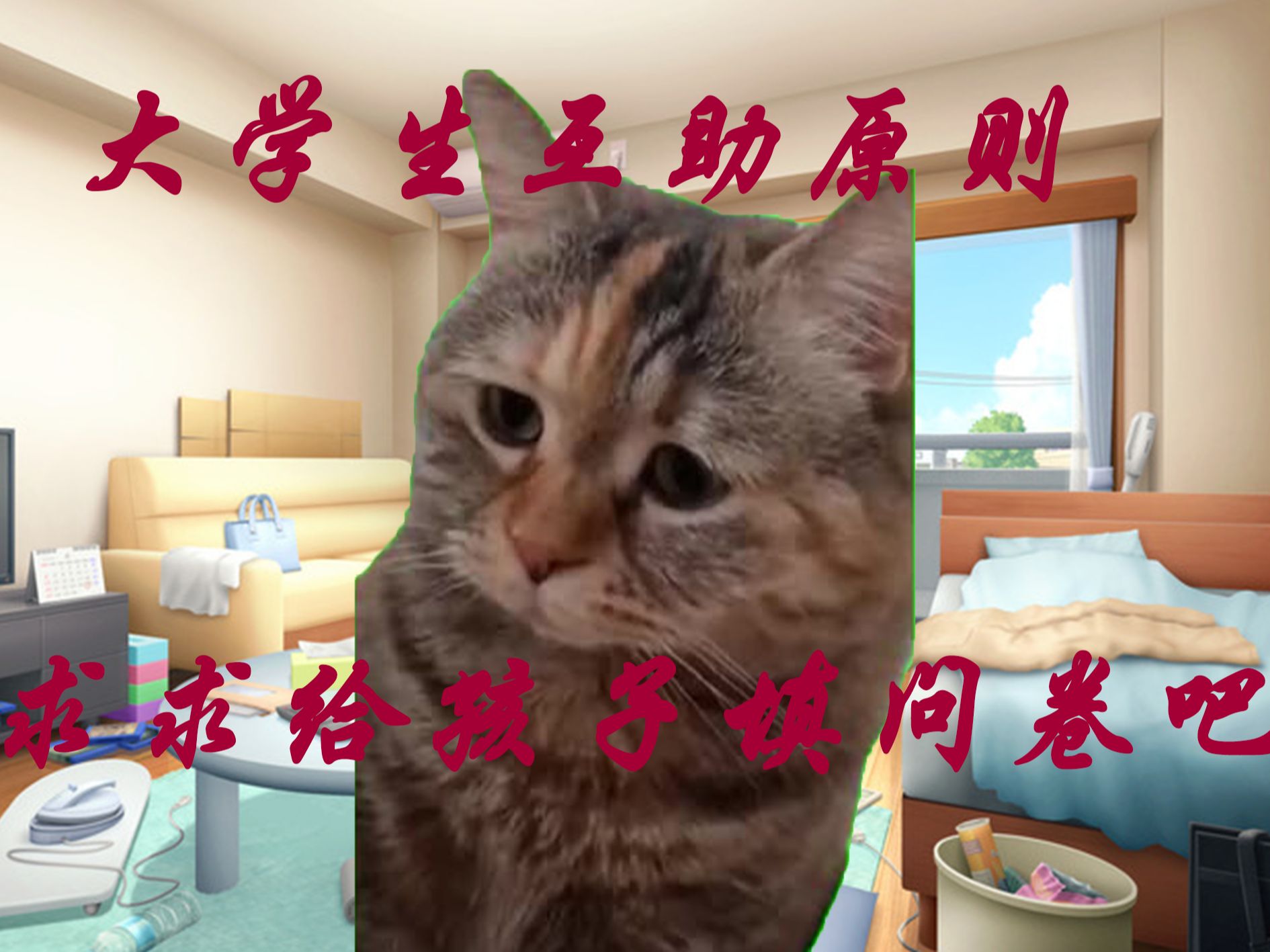 【猫MeMe】大 学 生 友 好 互 助!哔哩哔哩bilibili