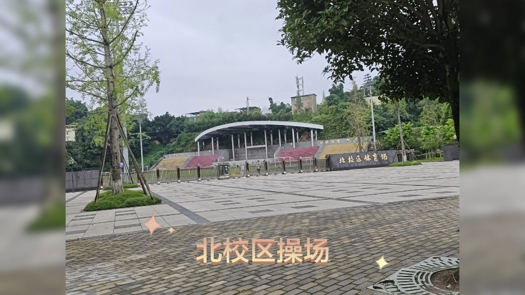 乐山师范体育学院图片