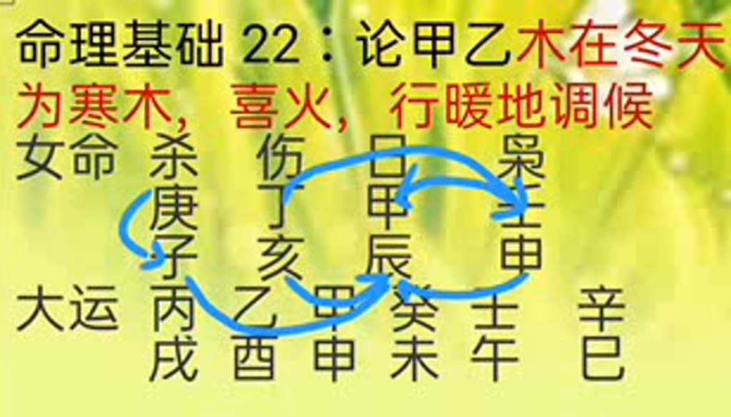 盲派命理基础22:甲乙木在冬天.寒木喜火,行暖地调侯哔哩哔哩bilibili