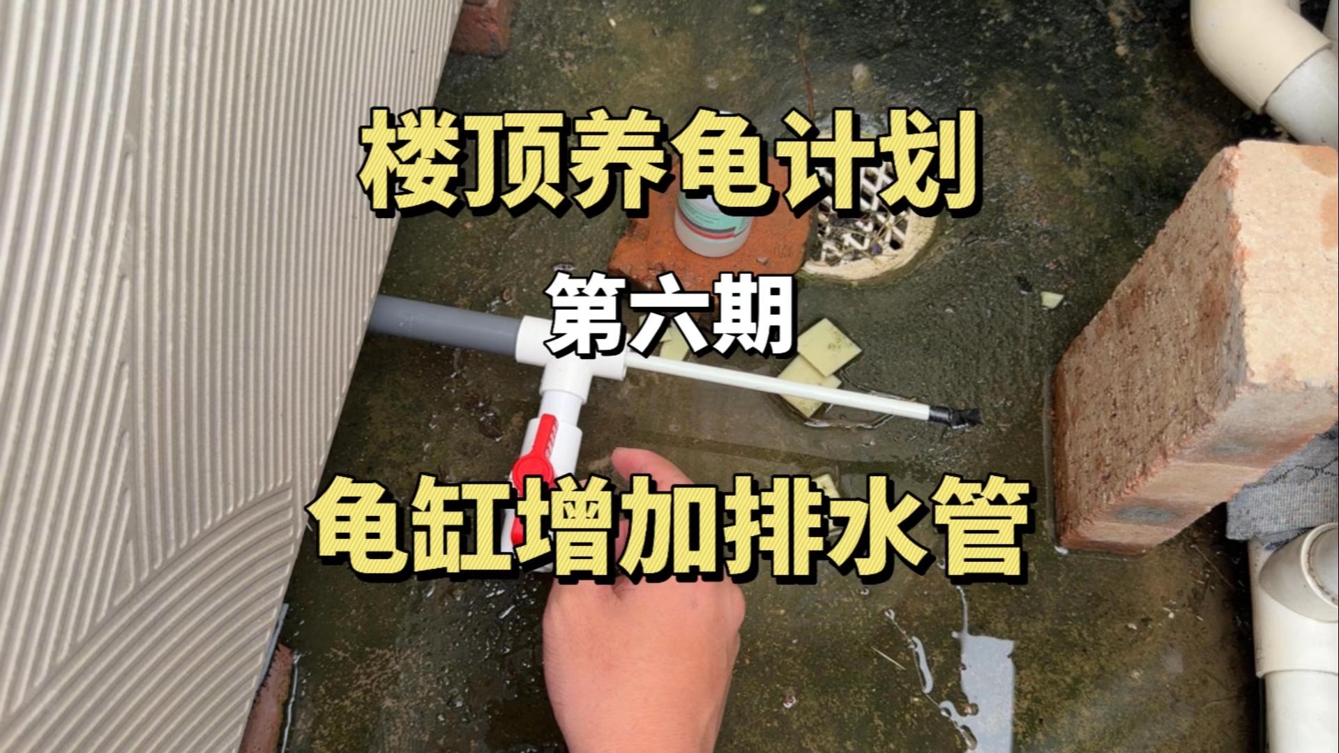 楼顶养龟计划,给瓷砖龟缸增加排水哔哩哔哩bilibili