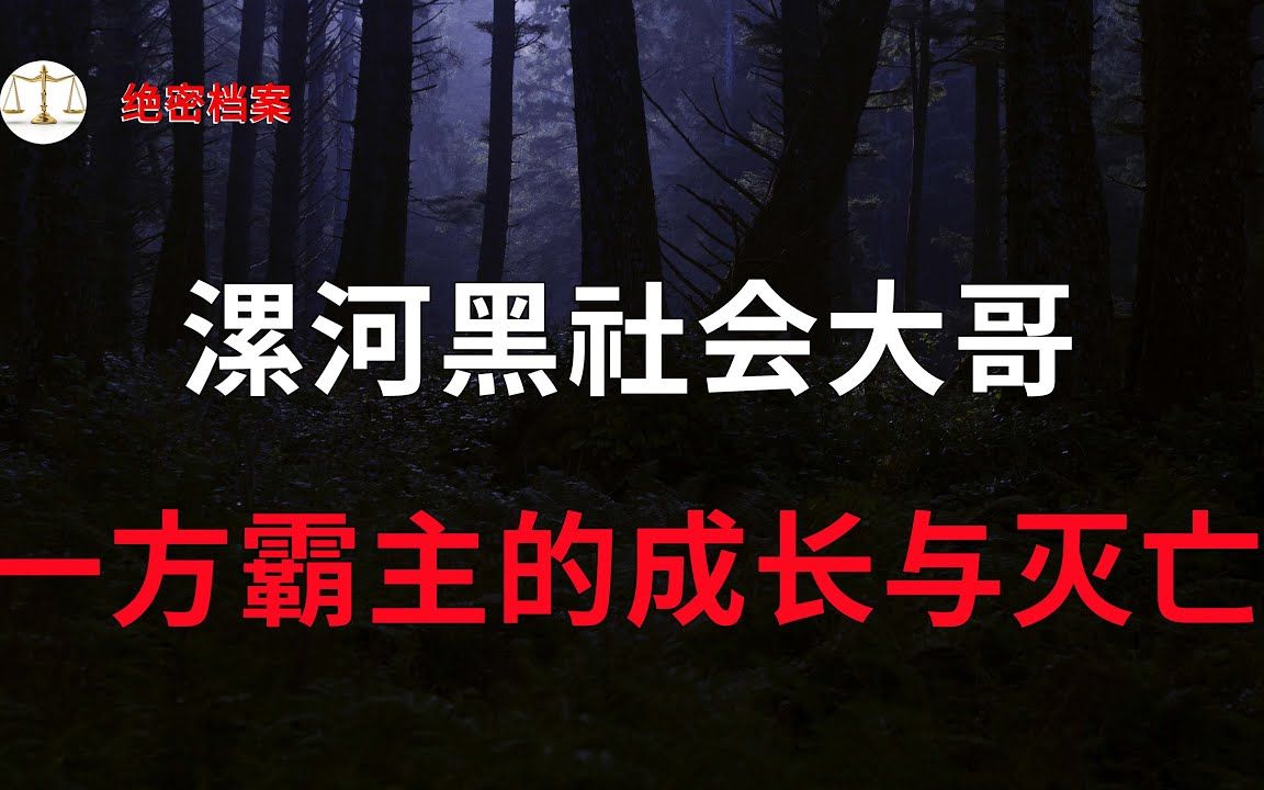 [图]漯河呼风唤雨叱诧风云的黑社会大哥，公安厅打黑办直接参与，一方霸主的成长与灭亡 - 大案要案纪实录 - 绝密档案