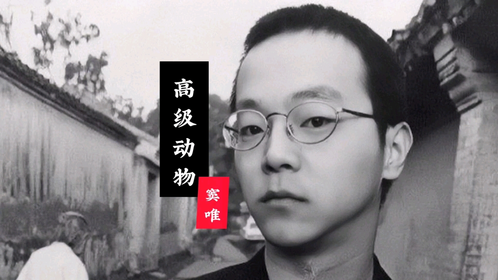 活动作品原创混剪窦唯高级动物中国摇滚史绕不过的经典