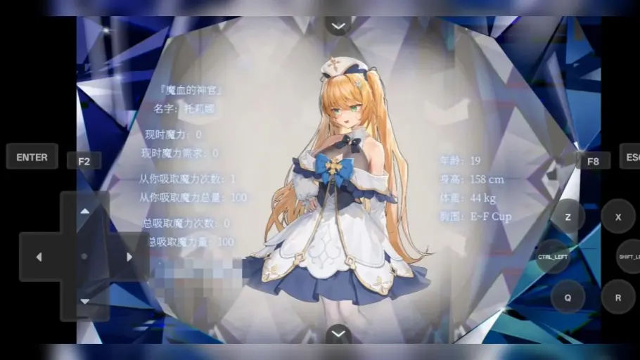 [安卓/PC/RPG]影色渐染~阿斯林顿的妹神官~ 影に染まりゆく~アスリントの妹神官~ Ver.0.602 官方中文版