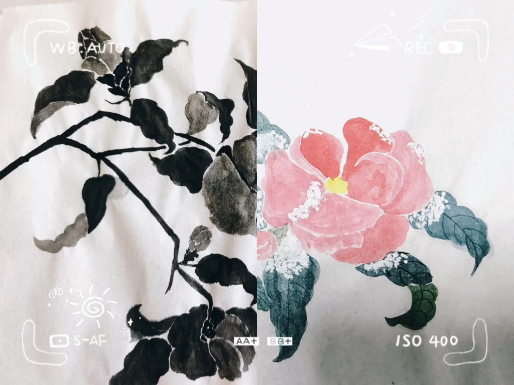 黑白和彩色画对比