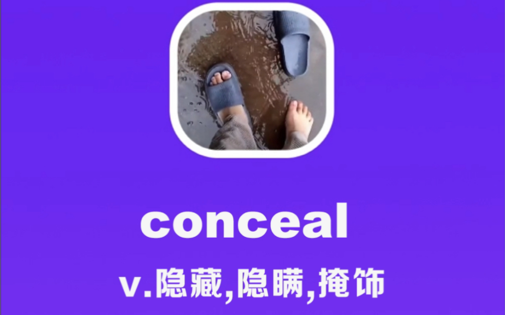 [图]conceal：隐藏，隐瞒，掩饰