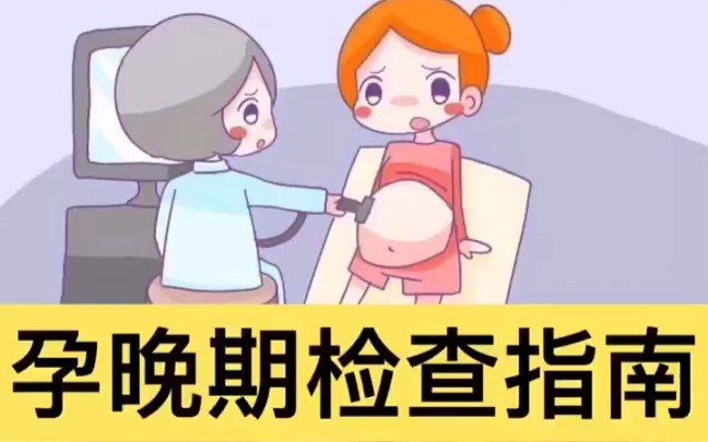 怀孕期检查指南哔哩哔哩bilibili