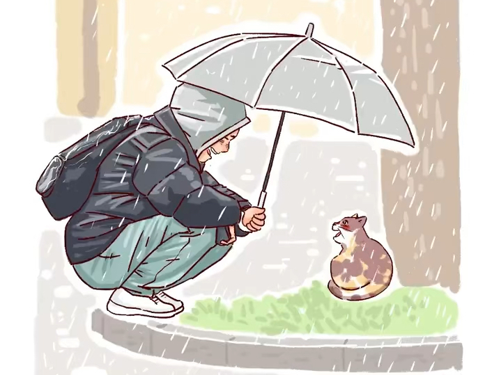 寺庙男孩在雨中为猫咪撑伞