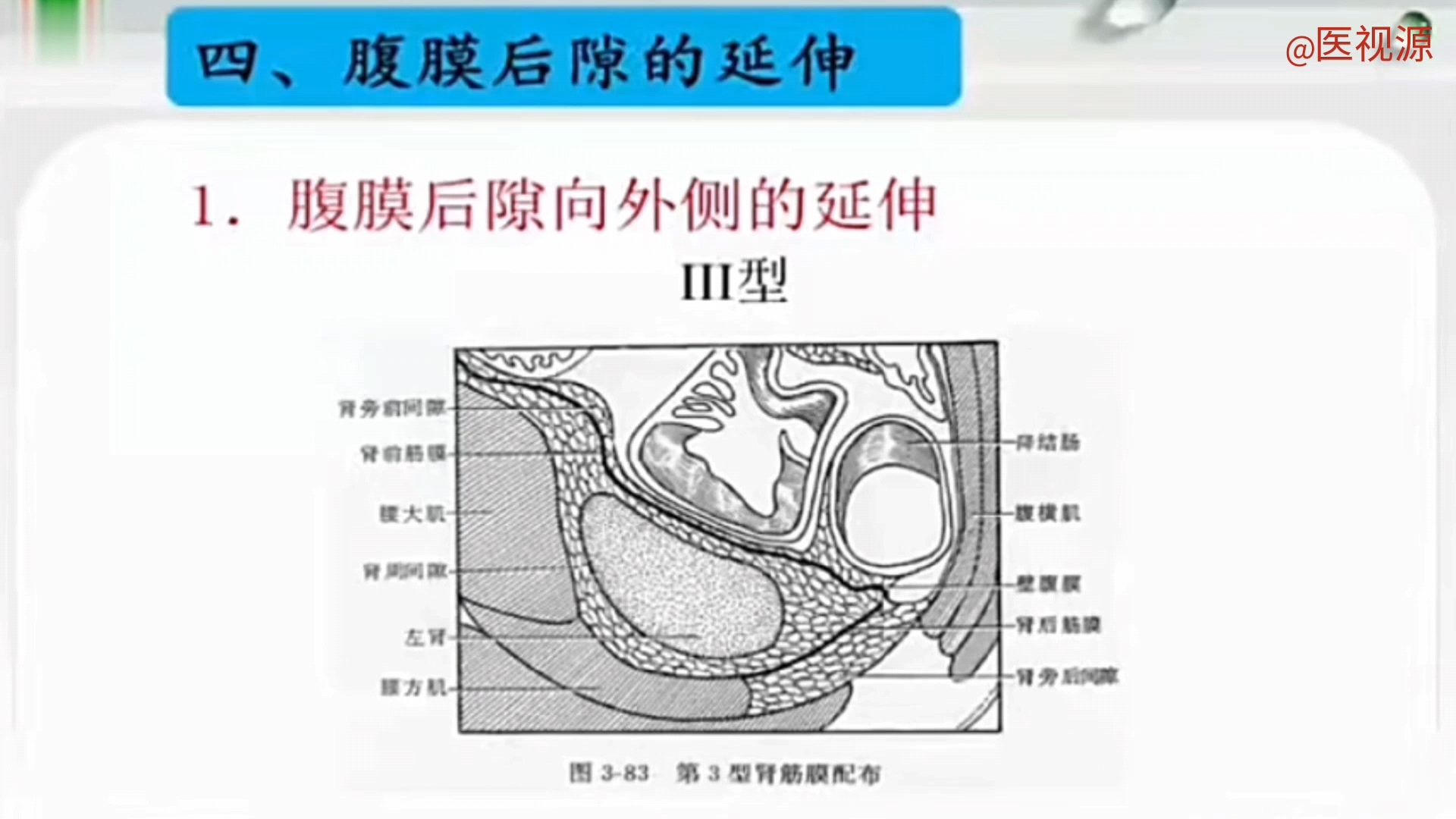 人体局部解剖学腹膜后隙解剖哔哩哔哩bilibili