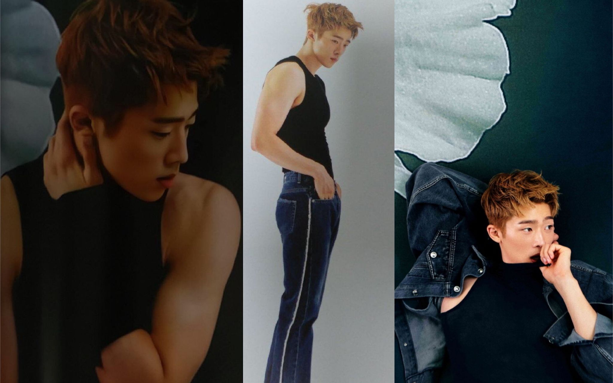 张义秀 之 我的目光所及之处