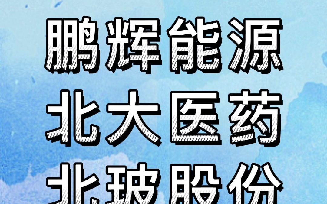 你应该知道的股票操作技巧鹏辉能源 北大医药 北玻股份哔哩哔哩bilibili