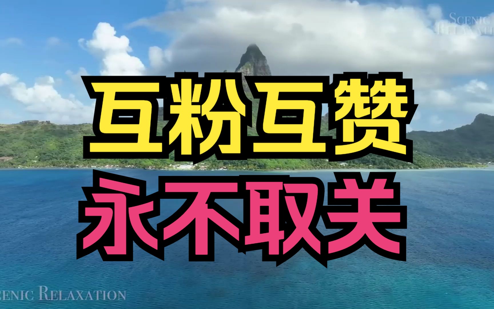 互粉互赞,诚信互粉,永不取关互粉 必回 你先我后!