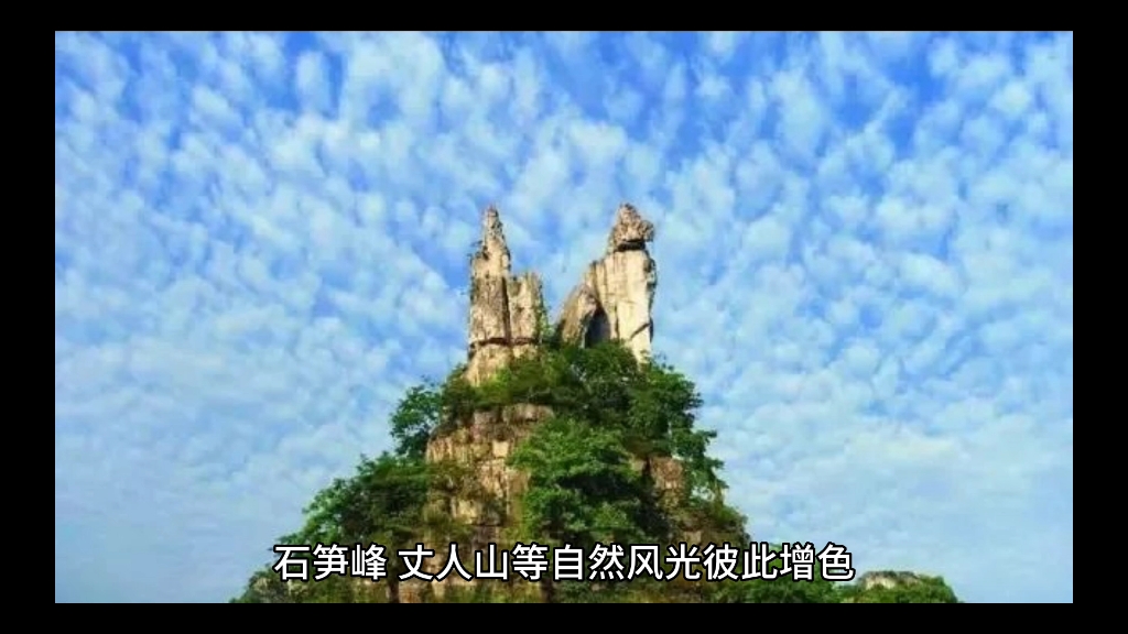 青城山主要景区之前山景区哔哩哔哩bilibili