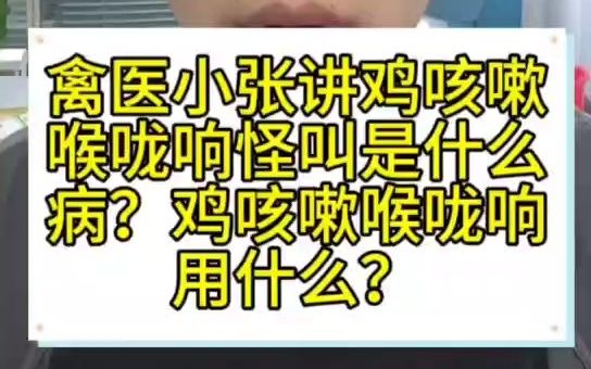 禽医小张讲鸡咳嗽喉咙响怪叫是什么病?鸡咳嗽喉咙响用什么药?哔哩哔哩bilibili