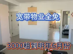 Download Video: 海边民宿老板扛不住了，3000包宽带物业住到明年6月份