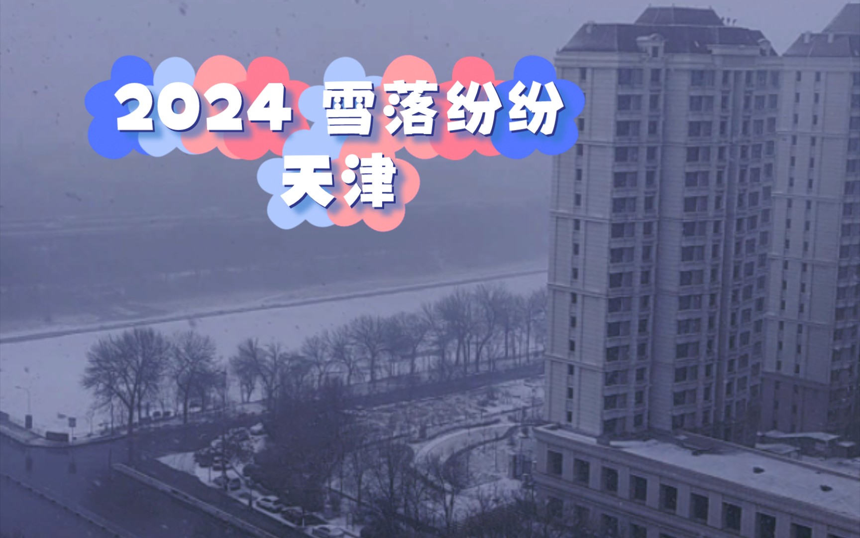 [图]2024年的雪：从天而降的纯净，给大地披上了洁白的纱裙