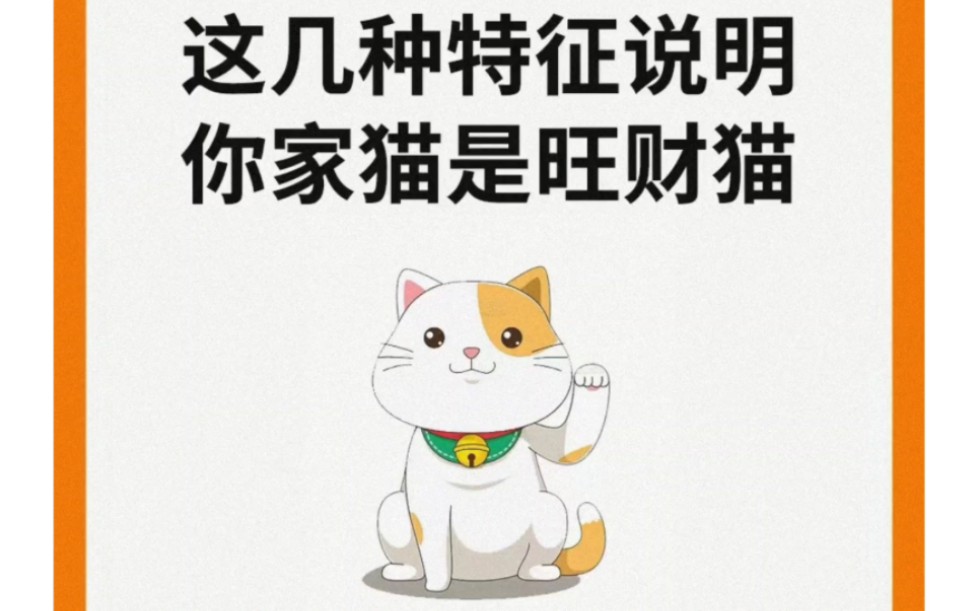 养猫小技巧202:旺财猫都有这些特征,铲屎官们快来看看你的猫咪是不是旺财猫吧!哔哩哔哩bilibili