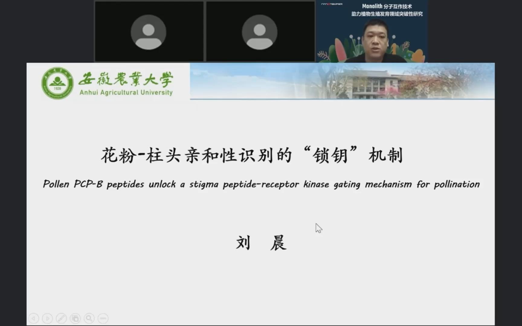 【安徽农业大学 刘晨教授】小肽受体激酶调控花粉柱头识别的"锁钥"机制哔哩哔哩bilibili