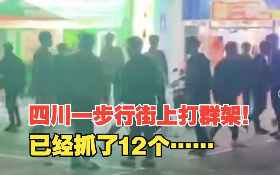 四川资阳警方通报“步行街打架”:12人被抓哔哩哔哩bilibili