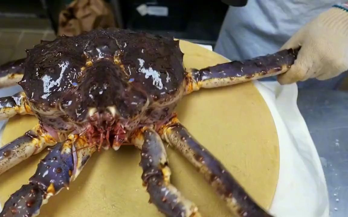 美国阿拉斯加白令海45公斤的帝王蟹 一顿吃完