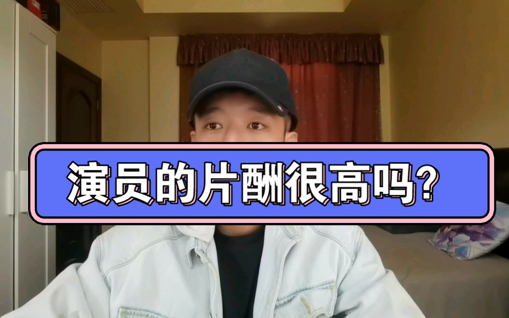 演员的片酬目前是什么水平?哔哩哔哩bilibili