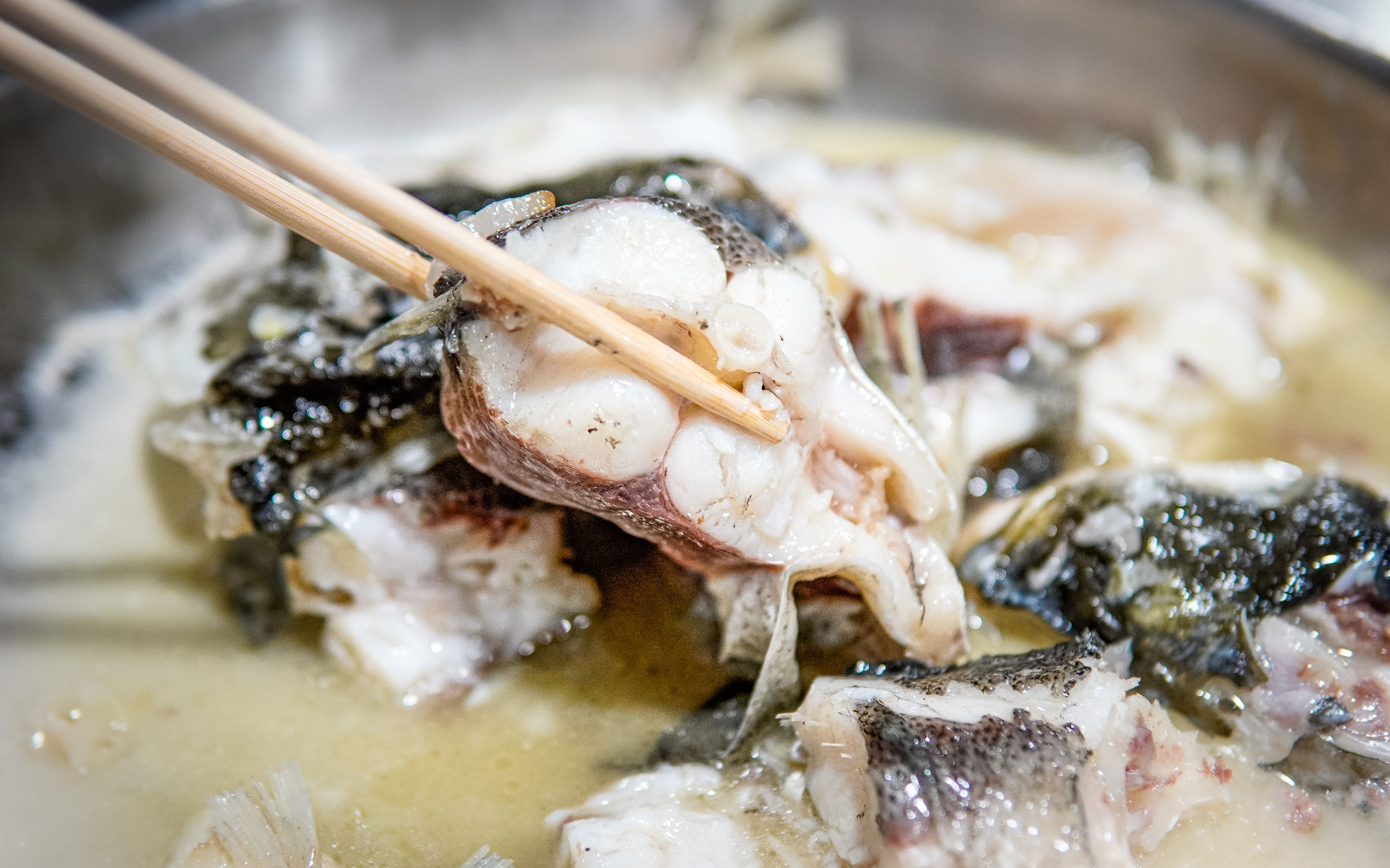 【新会旅游】千里探店,只为鲜到让人吞舌头的司前夜鱼!