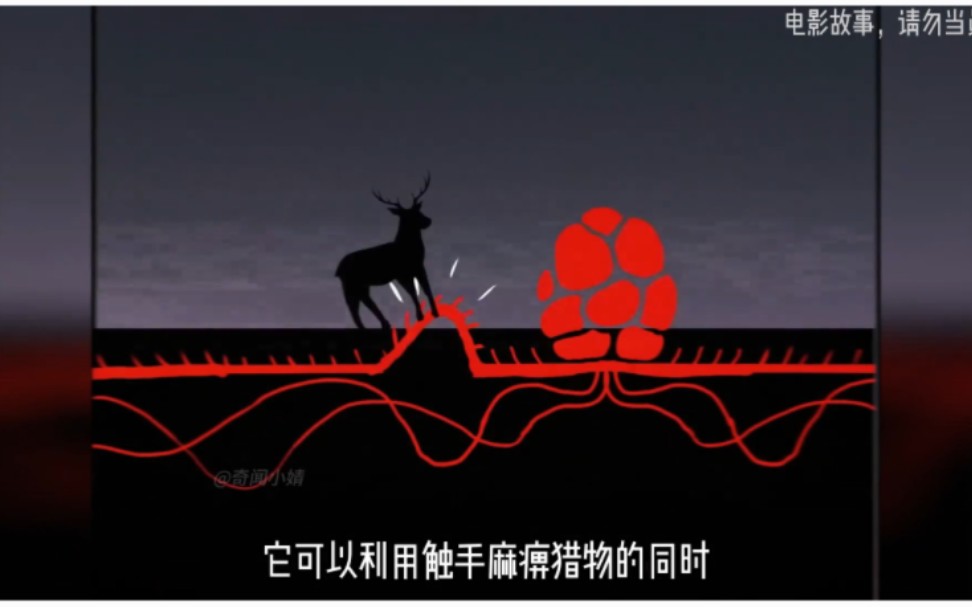 【克苏鲁怪物图鉴】想成为传奇调查员吗？来找我吧！噬魂蟾神——撒托古亚【第二季第九期】-无星之伤-灵魂-哔哩哔哩视频