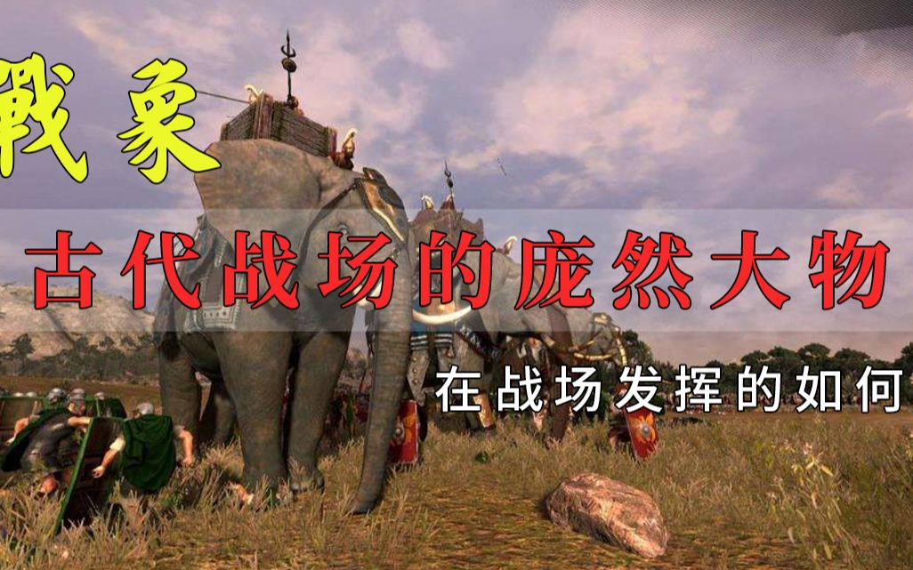 [图]古代战场的庞然大物-战象 在战场的战象的实力到底如何