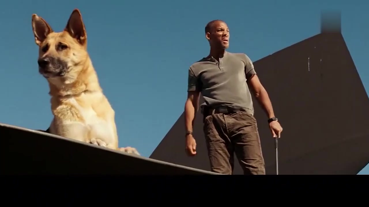 我是传奇病毒席卷全球纽约成死城一人一狗守一座城_0001_哔哩哔哩 (゜