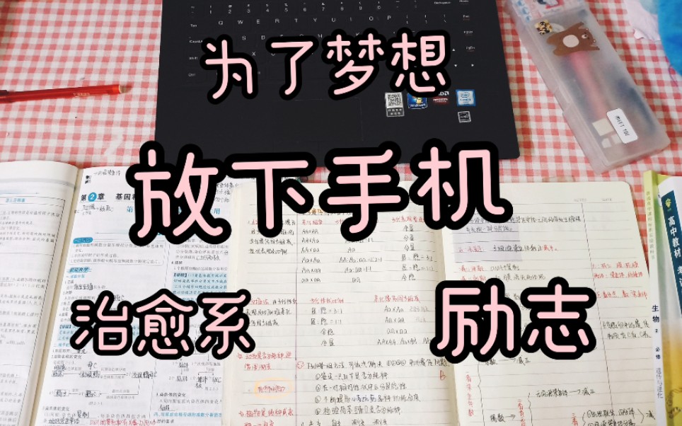 【治愈/励志】激发你的学习动力!超治愈,超励志!高三/初三/学生!!!哔哩哔哩bilibili