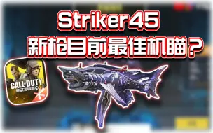 Download Video: 新枪目前最佳机瞄？Striker45机鲛骇浪