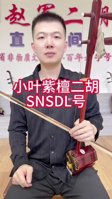 小叶紫檀二胡SNSDL号,明亮清脆,干净通透哔哩哔哩bilibili