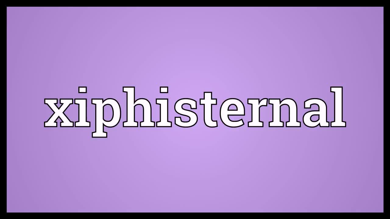 xiphisternal meaning