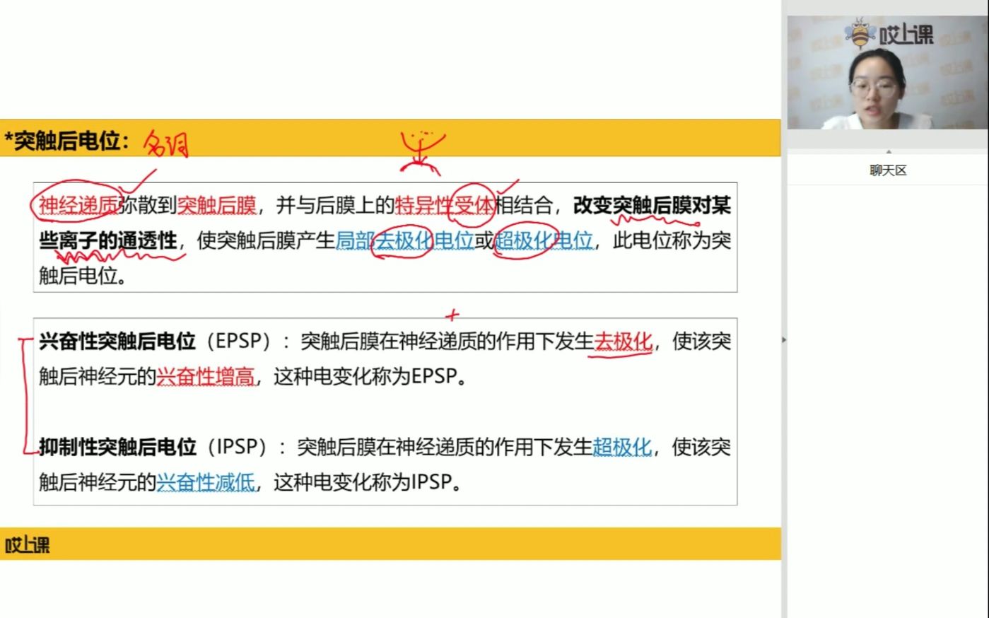 广东专升本生理学~ 突触后电位哔哩哔哩bilibili