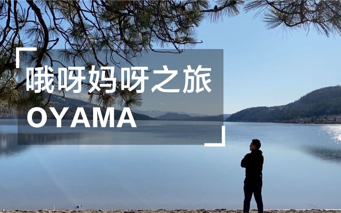 [图]Hi加拿大 哦呀妈呀之旅/娶个东北媳妇儿真的需要很大勇气/OYAMA