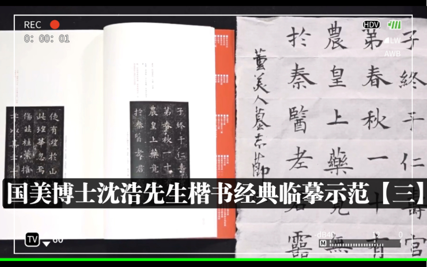 国美博士沈浩先生楷书经典临摹示范【三】《董美人墓志》《张猛龙碑》《龙藏寺碑》《张黑女墓志》临摹哔哩哔哩bilibili