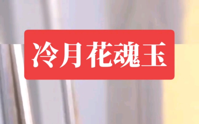 《冷月花魂玉》#文荒推荐 #推文超好看小说 #炒鸡好看小说 #今日推文 #小说控 #小说推文哔哩哔哩bilibili