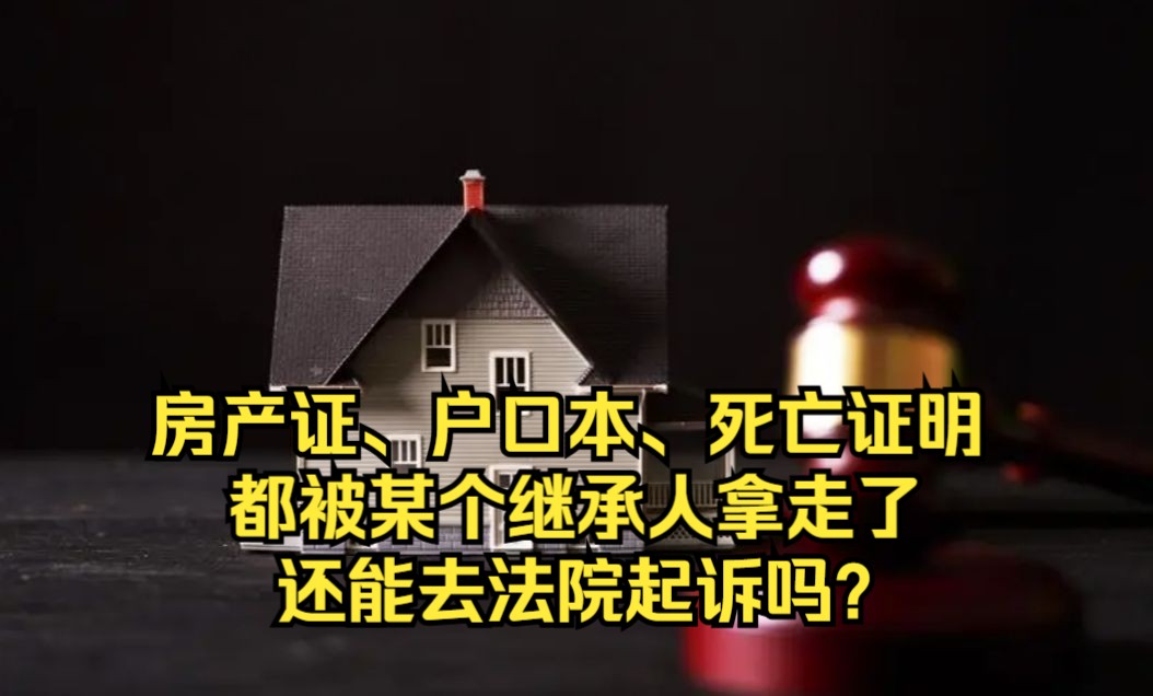 房产证、户口本、死亡证明都被某个继承人拿走了,还能去法院起诉吗?哔哩哔哩bilibili