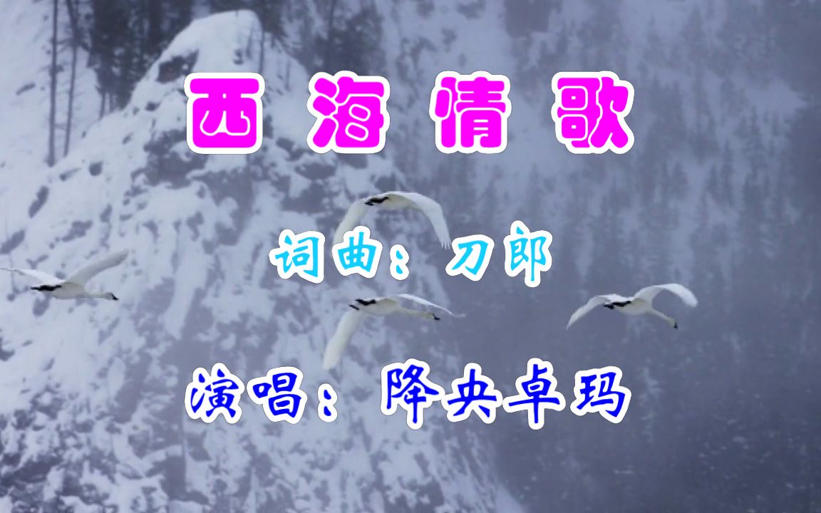 《西海情歌》 降央卓玛演唱版 刀郎作词作曲并演唱的一首经典热门歌曲 降央卓玛的翻唱版别有意境 歌词简谱双显示哔哩哔哩bilibili