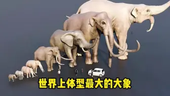 世界上体型最大的大象