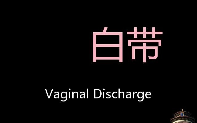 白带 Chinese Pronunciation Vaginal Discharge哔哩哔哩bilibili