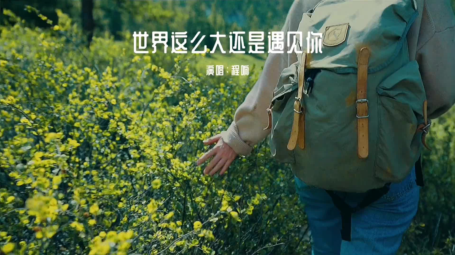 遇见的都是天意拥有的都是幸运我如约而至你恰好在场一起保持热爱