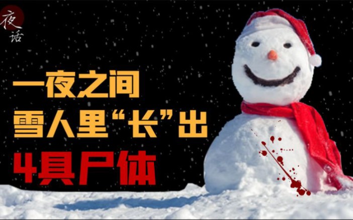 2008年东北雪人案,住在309宿舍的女孩们,一夜之间被塞进雪人里哔哩哔哩bilibili