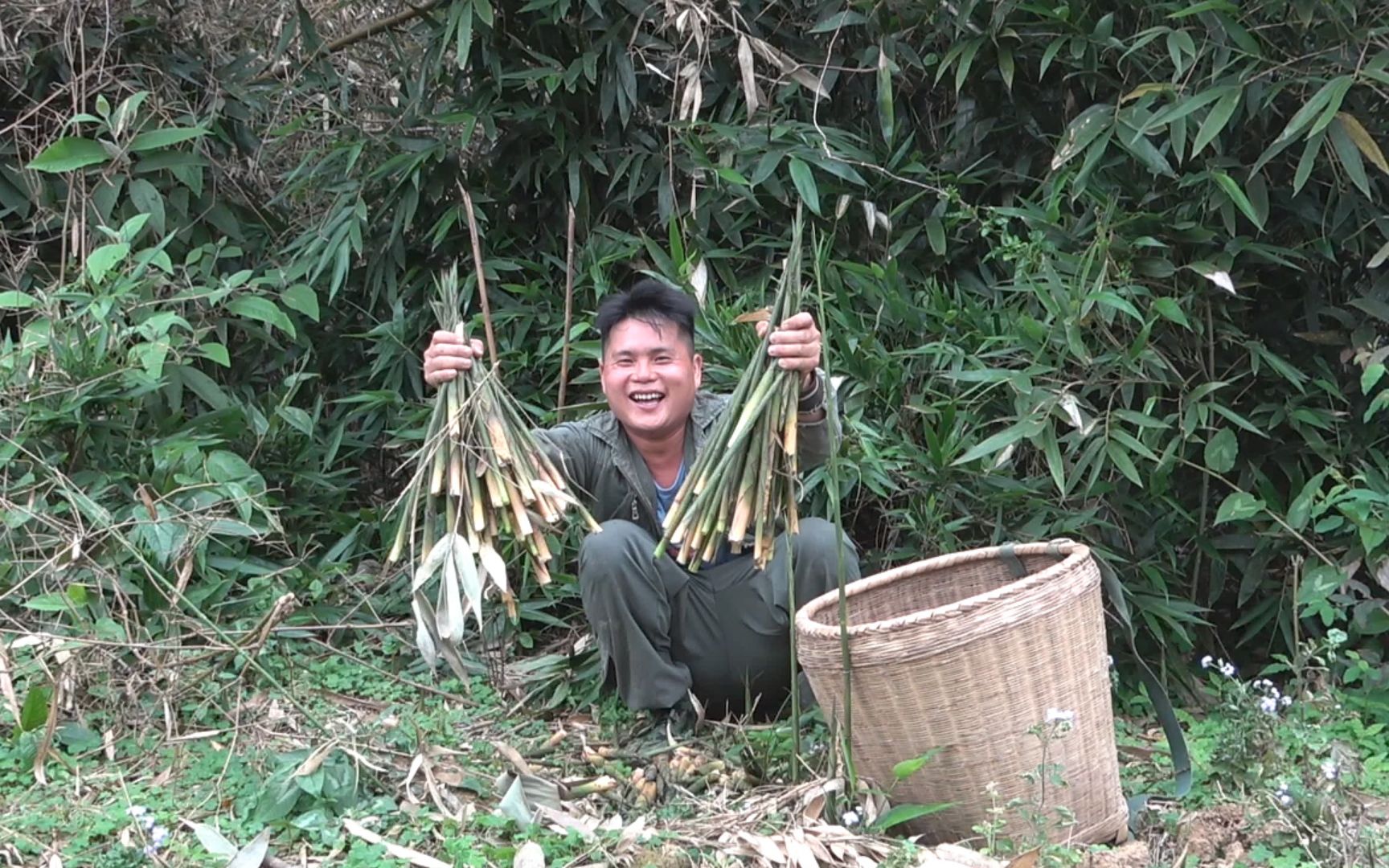 这样拔竹笋太过瘾了走进竹林根本停不下来拔得啪啪响