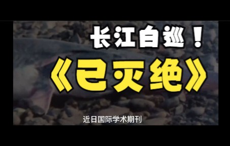 [图]长江白巡.2019年12月23日 白巡没能进入2020年