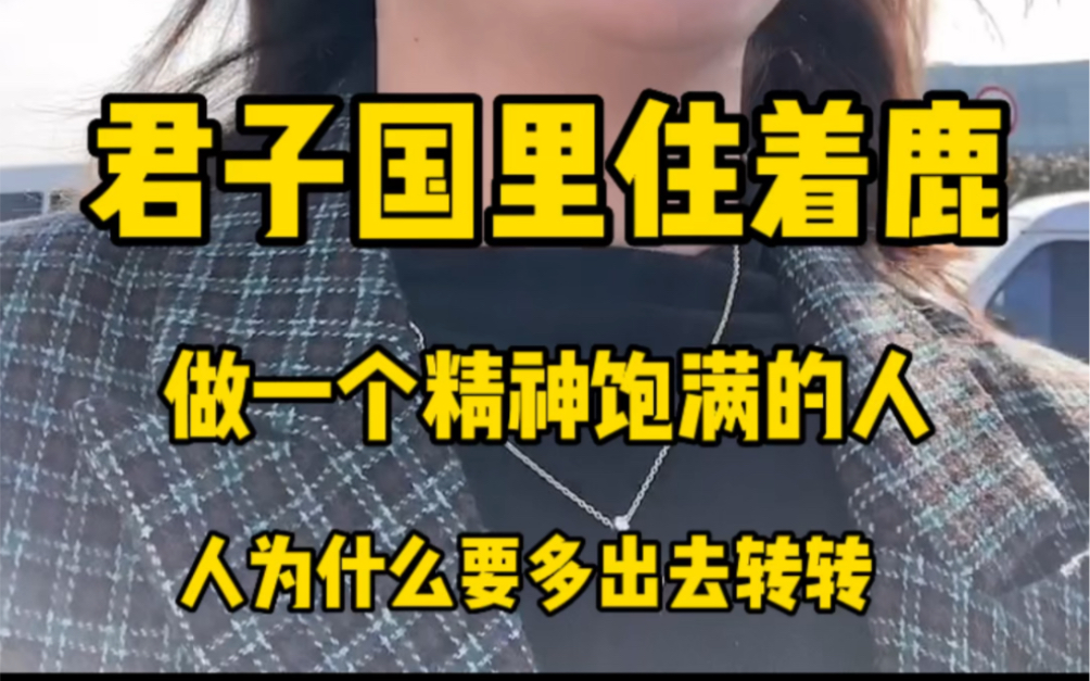 人为什么要出去转转,做一个精神饱满的人,读万卷书行万里路.哔哩哔哩bilibili