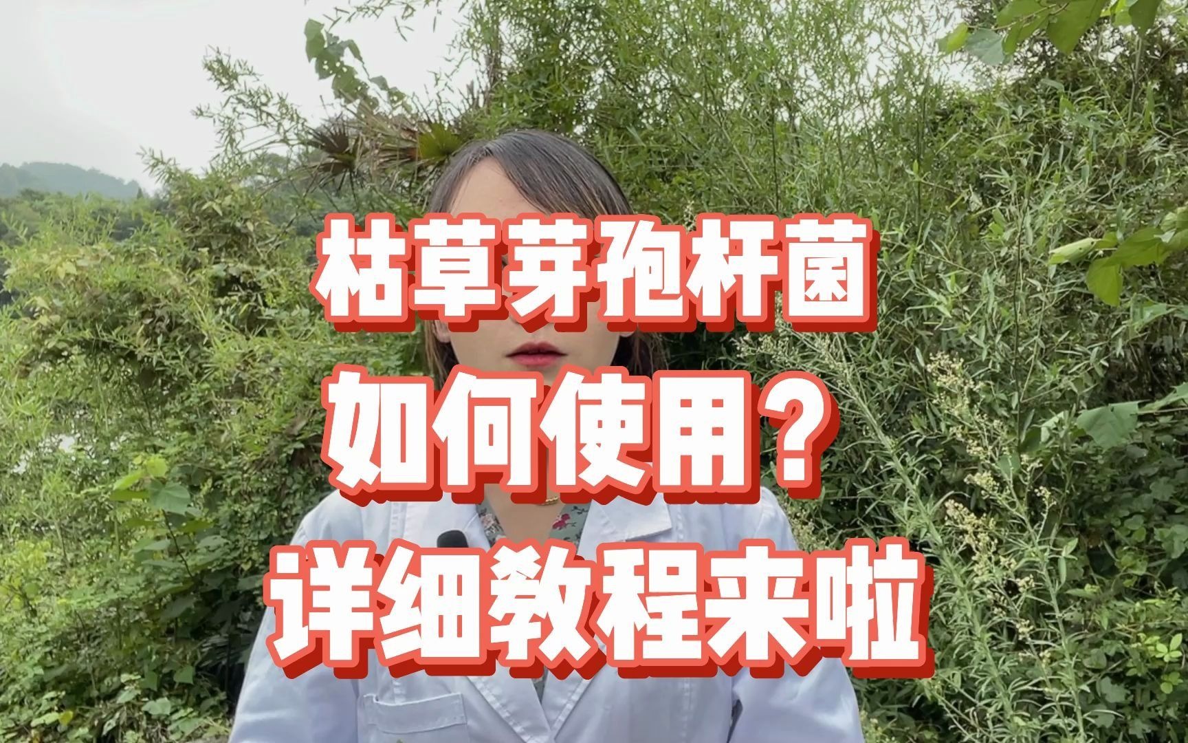 枯草芽孢杆菌如何使用?详细教程来了哔哩哔哩bilibili